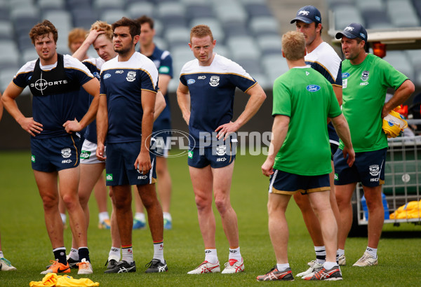 AFL 2014 Training - Geelong Cats 171114 - 353814