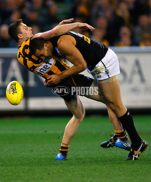 AFL 2014 Second Preliminary Final - Hawthorn v Port Adelaide - 349439