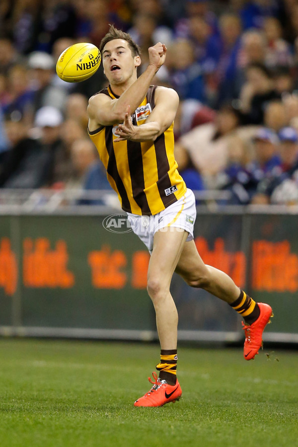 VFL 2014 Grand Final - Footscray Bulldogs v Box Hill Hawks - 349579
