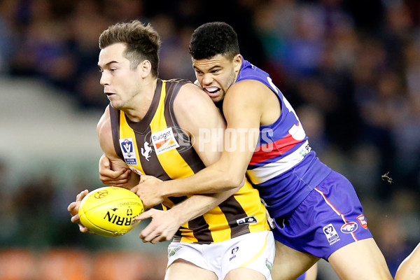 VFL 2014 Grand Final - Footscray Bulldogs v Box Hill Hawks - 349627
