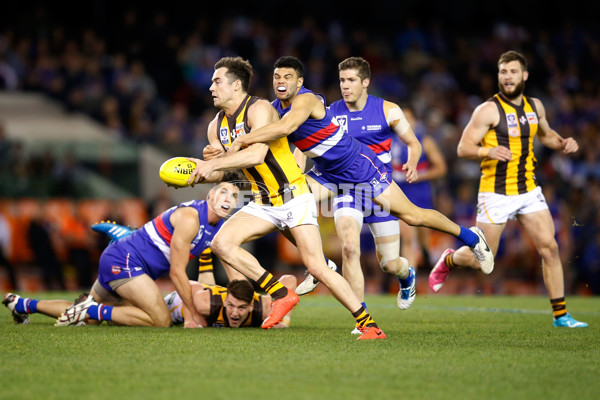 VFL 2014 Grand Final - Footscray Bulldogs v Box Hill Hawks - 349626