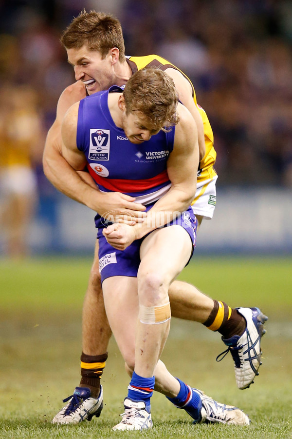 VFL 2014 Grand Final - Footscray Bulldogs v Box Hill Hawks - 349693