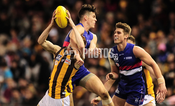 VFL 2014 Grand Final - Footscray Bulldogs v Box Hill Hawks - 349707