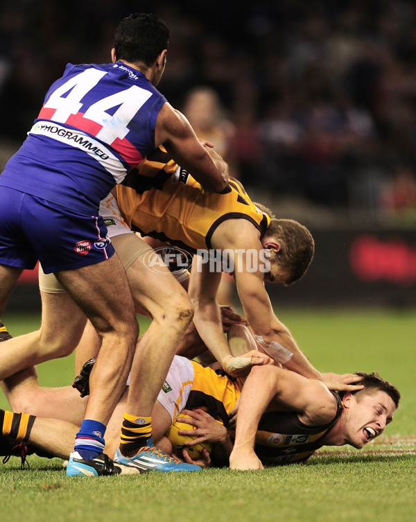 VFL 2014 Grand Final - Footscray Bulldogs v Box Hill Hawks - 349713