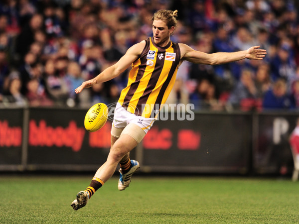 VFL 2014 Grand Final - Footscray Bulldogs v Box Hill Hawks - 349721