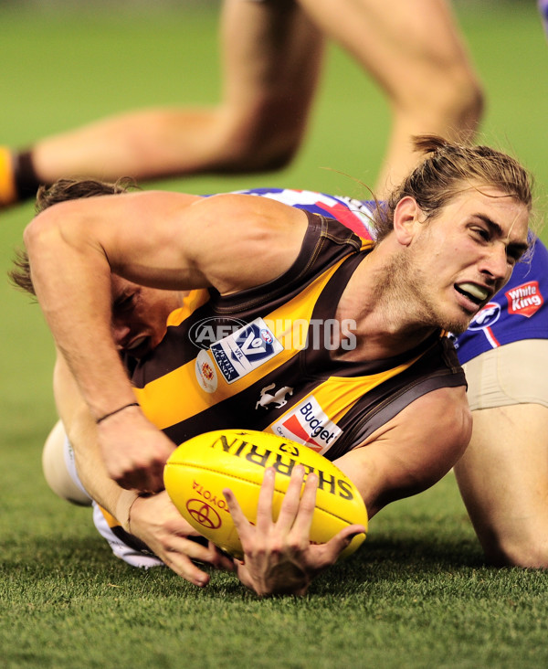 VFL 2014 Grand Final - Footscray Bulldogs v Box Hill Hawks - 349736