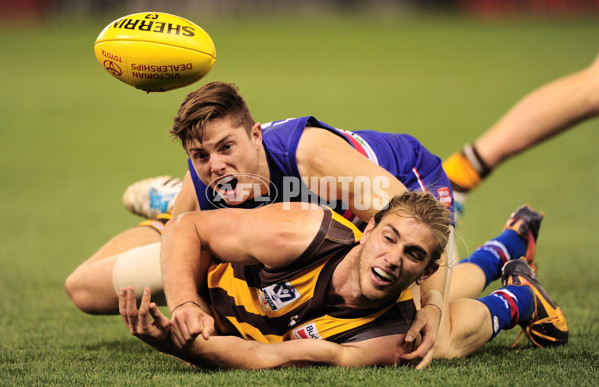 VFL 2014 Grand Final - Footscray Bulldogs v Box Hill Hawks - 349737