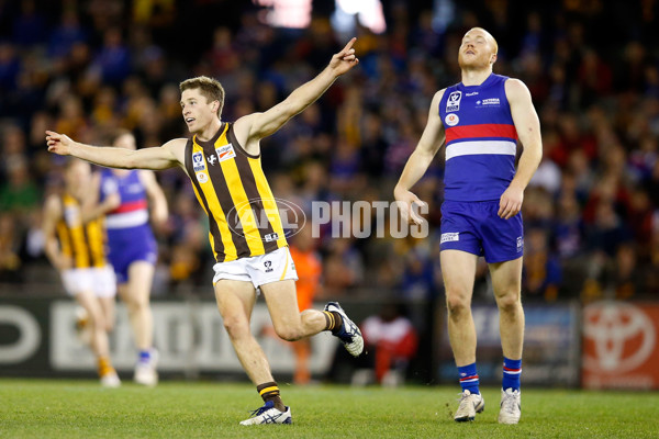 VFL 2014 Grand Final - Footscray Bulldogs v Box Hill Hawks - 349758