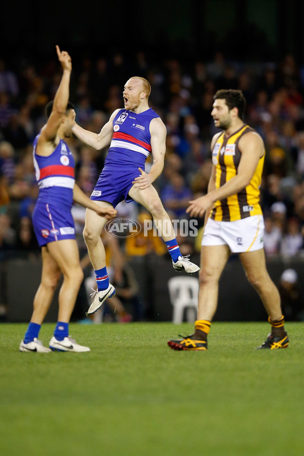 VFL 2014 Grand Final - Footscray Bulldogs v Box Hill Hawks - 349766