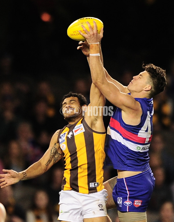 VFL 2014 Grand Final - Footscray Bulldogs v Box Hill Hawks - 349719