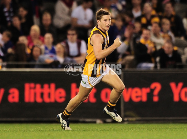 VFL 2014 Grand Final - Footscray Bulldogs v Box Hill Hawks - 349720