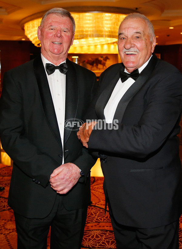 AFL 2014 Media - Brownlow Medal - 349819