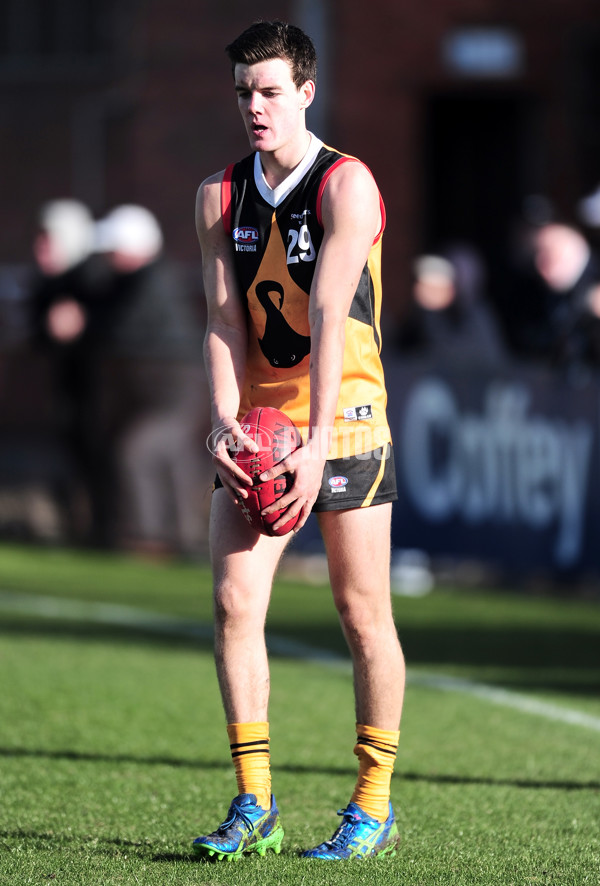 TAC Cup 2014 Rd 14 - Dandenong Stingrays v Bendigo Pioneers - 337717