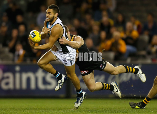 AFL 2014 Rd 17 - Richmond v Port Adelaide - 338152