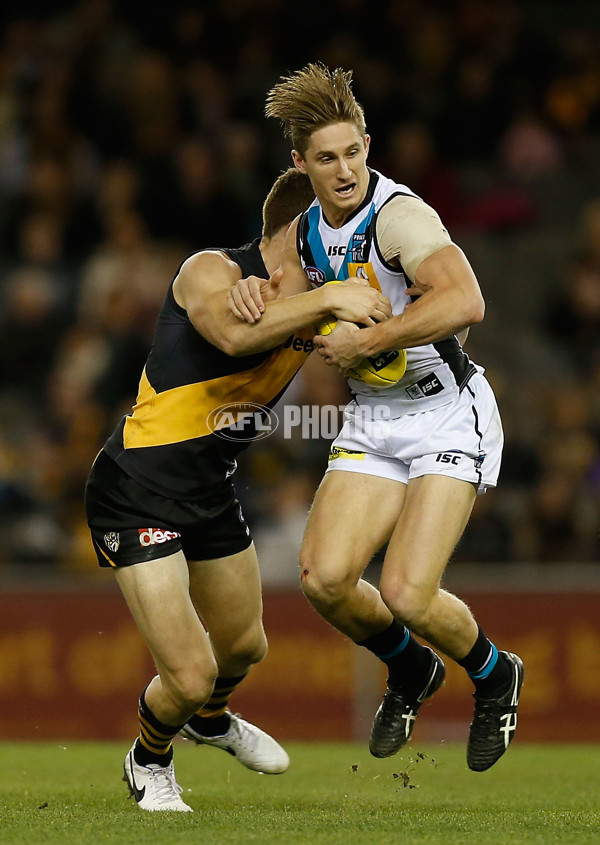 AFL 2014 Rd 17 - Richmond v Port Adelaide - 338392