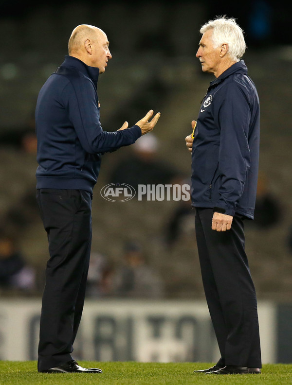 AFL 2014 Rd 18 - Carlton v North Melbourne - 338702