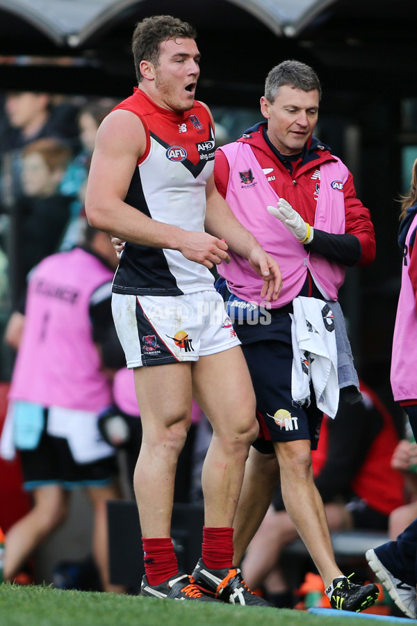 AFL 2014 Rd 18 - Port Adelaide v Melbourne - 339089