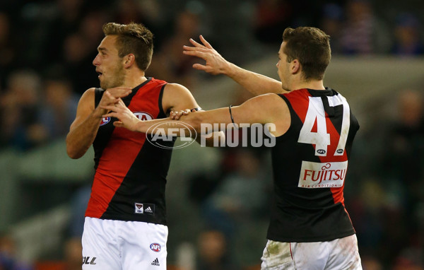 AFL 2014 Rd 18 - Western Bulldogs v Essendon - 339190