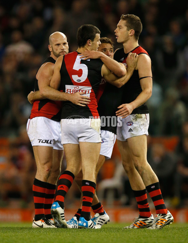 AFL 2014 Rd 18 - Western Bulldogs v Essendon - 339229