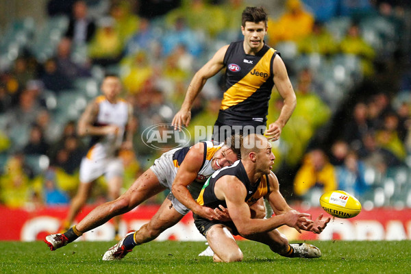 AFL 2014 Rd 18 - West Coast v Richmond - 339598