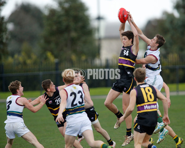 TAC Cup 2014 Rd 15 - Murray Bushrangers v Tasmania - 339767