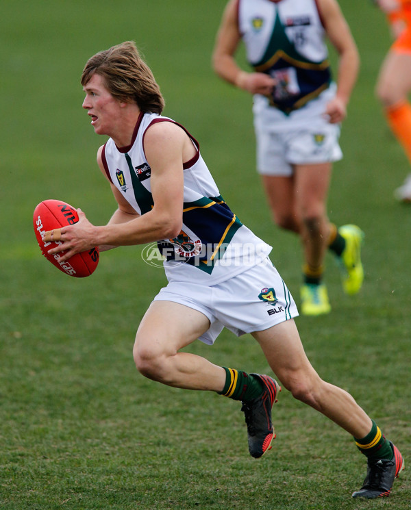 TAC Cup 2014 Rd 15 - Murray Bushrangers v Tasmania - 339778