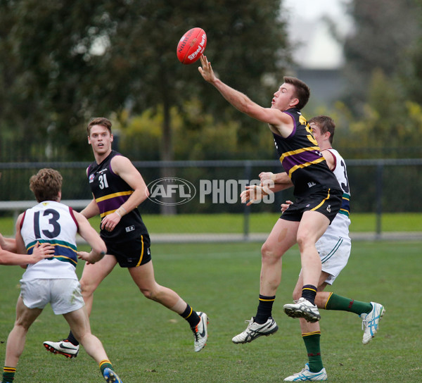 TAC Cup 2014 Rd 15 - Murray Bushrangers v Tasmania - 339781