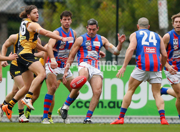 VFL 2014 Rd 16 - Richmond v Port Melbourne - 340145