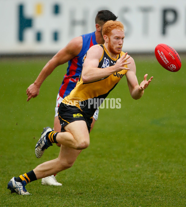 VFL 2014 Rd 16 - Richmond v Port Melbourne - 340173