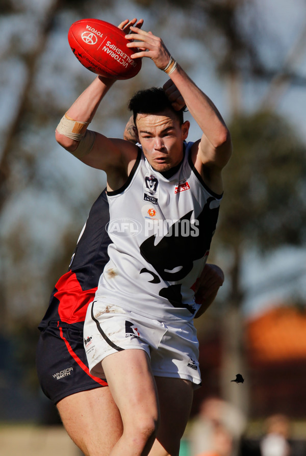 VFL 2014 Rd 17 - Coburg v North Ballarat - 341034