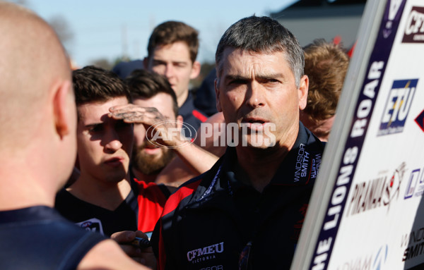 VFL 2014 Rd 17 - Coburg v North Ballarat - 341068