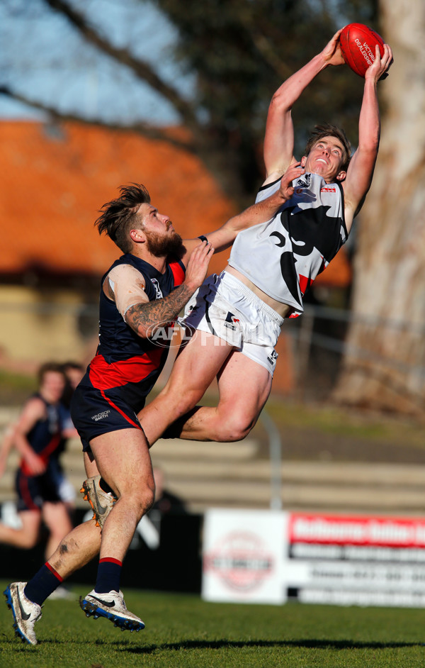 VFL 2014 Rd 17 - Coburg v North Ballarat - 341107