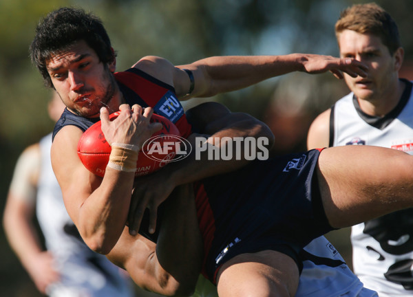 VFL 2014 Rd 17 - Coburg v North Ballarat - 341116