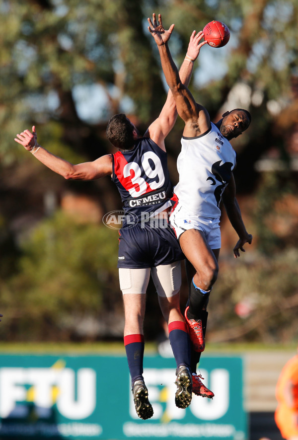 VFL 2014 Rd 17 - Coburg v North Ballarat - 341138