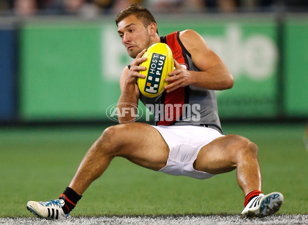 AFL 2014 Rd 20 - Richmond v Essendon - 341491