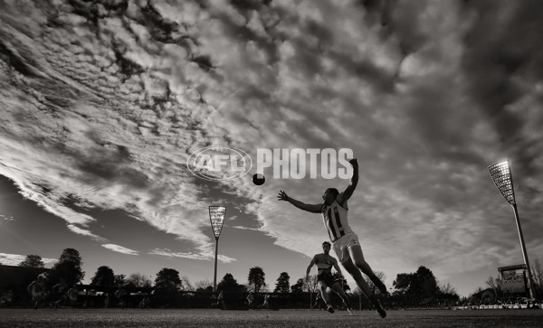 AFL 2014 Rd 20 - GWS Giants v North Melbourne - 341659