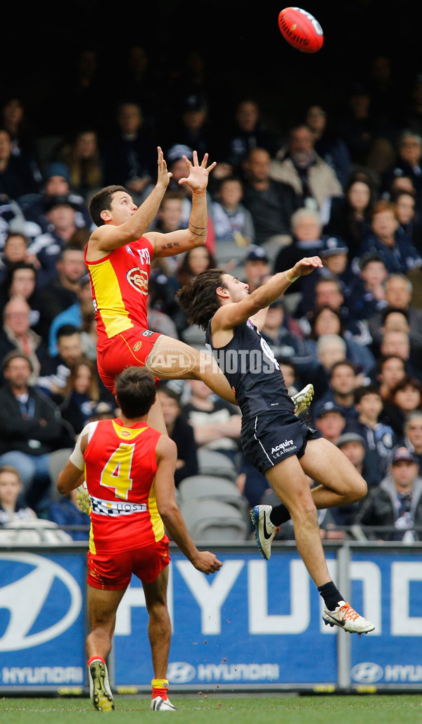 AFL 2014 Rd 20 - Carlton v Gold Coast - 341883