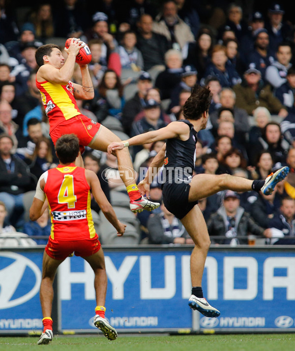 AFL 2014 Rd 20 - Carlton v Gold Coast - 341884