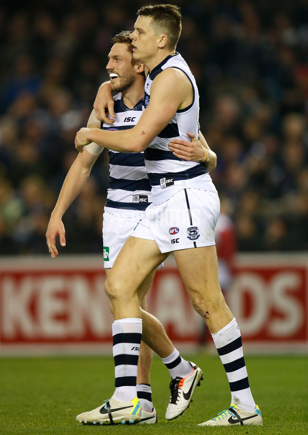 AFL 2014 Rd 21 - Carlton v Geelong - 343103