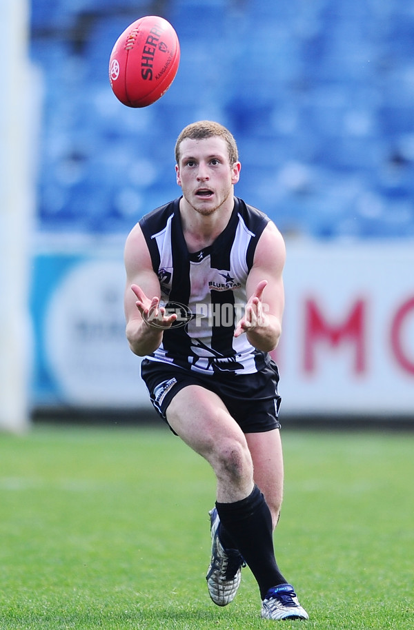 VFL 2014 Rd 19 - Geelong v Collingwood - 343242