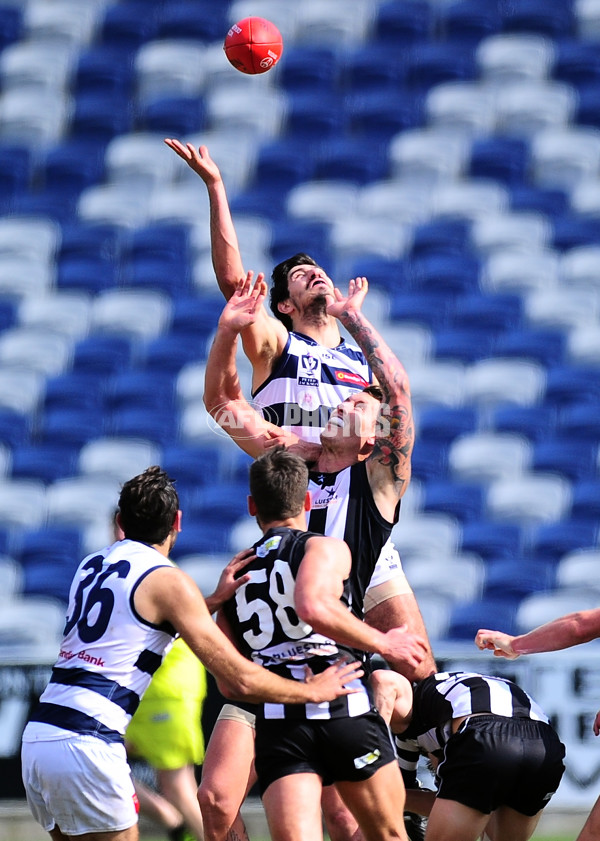 VFL 2014 Rd 19 - Geelong v Collingwood - 343236