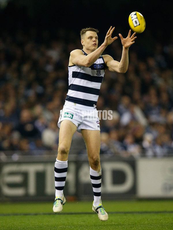 AFL 2014 Rd 21 - Carlton v Geelong - 343206