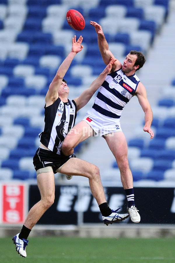 VFL 2014 Rd 19 - Geelong v Collingwood - 343228