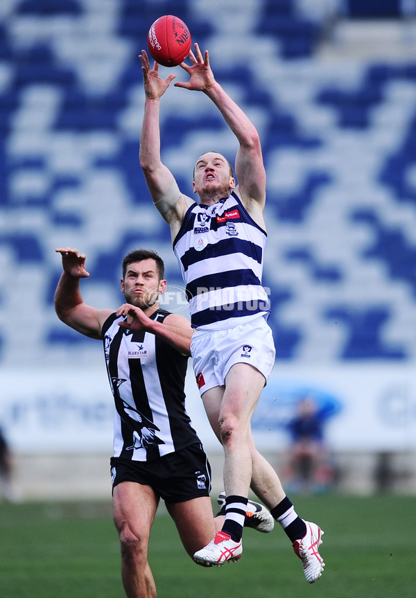 VFL 2014 Rd 19 - Geelong v Collingwood - 343221