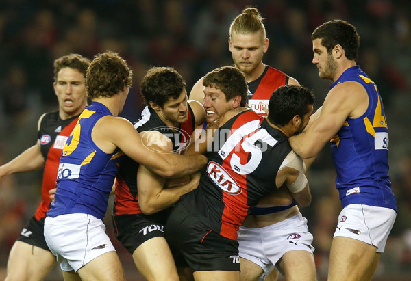 AFL 2014 Rd 21 - Essendon v West Coast - 343561