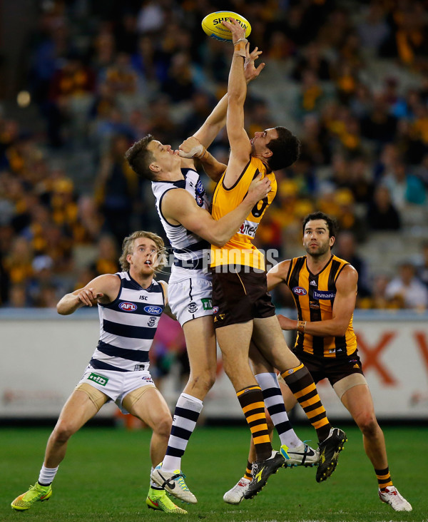 AFL 2014 Rd 22 - Hawthorn v Geelong - 344835