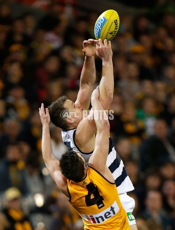 AFL 2014 Rd 22 - Hawthorn v Geelong - 344827