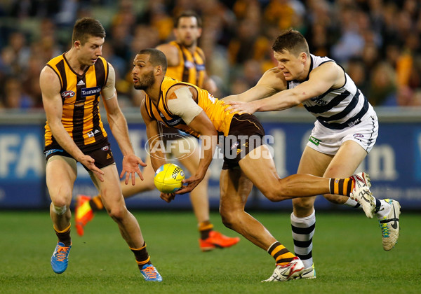 AFL 2014 Rd 22 - Hawthorn v Geelong - 344826