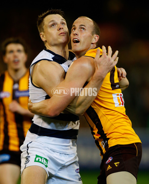 AFL 2014 Rd 22 - Hawthorn v Geelong - 344842