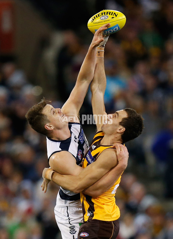 AFL 2014 Rd 22 - Hawthorn v Geelong - 344974